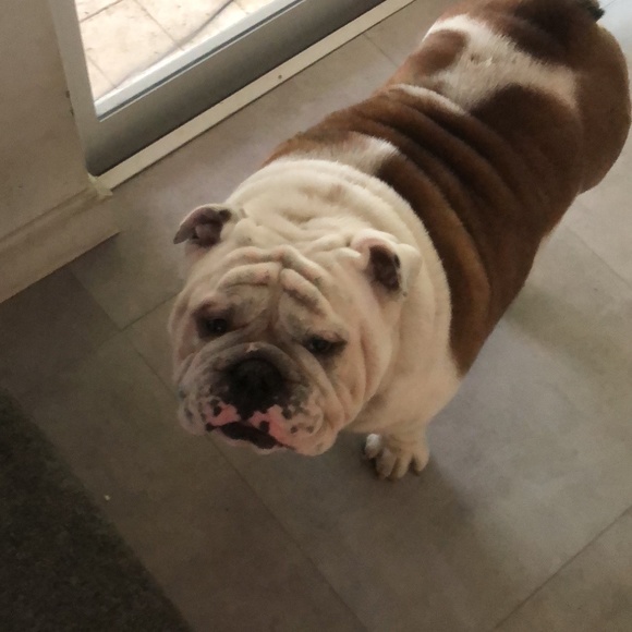 Meet your Posher, Maria - Picture 1 of 1